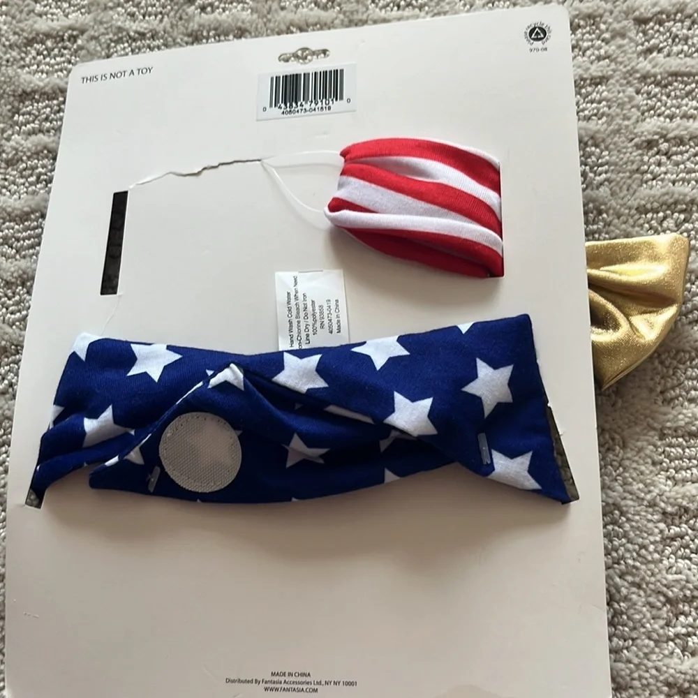 Amaerica flag bow and bib